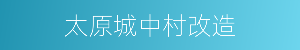 太原城中村改造的同义词
