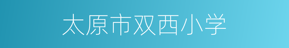 太原市双西小学的同义词