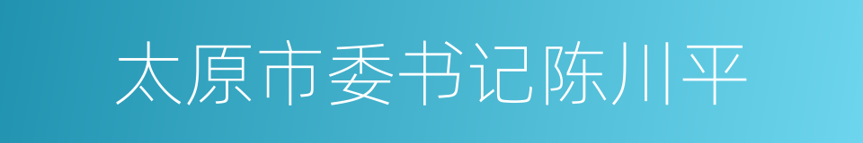 太原市委书记陈川平的同义词