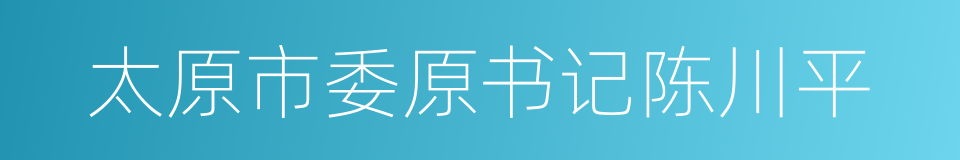 太原市委原书记陈川平的同义词