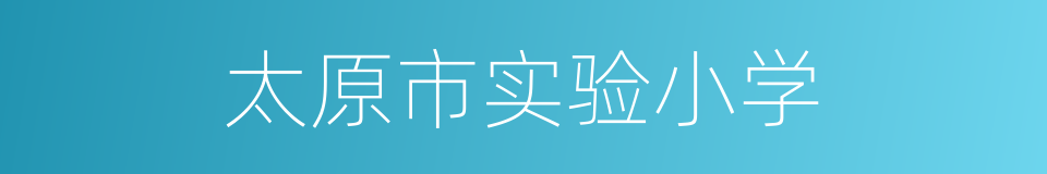 太原市实验小学的同义词