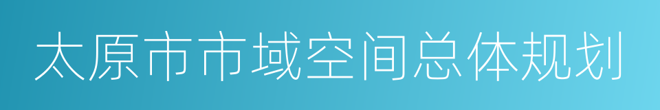 太原市市域空间总体规划的同义词