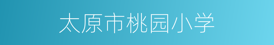 太原市桃园小学的同义词