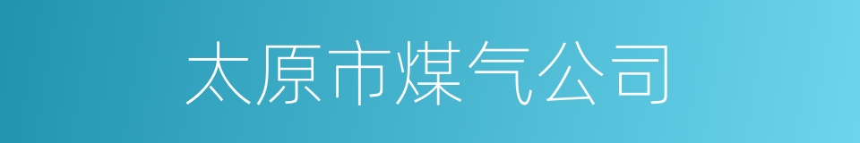 太原市煤气公司的同义词