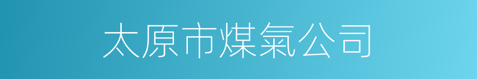 太原市煤氣公司的同義詞