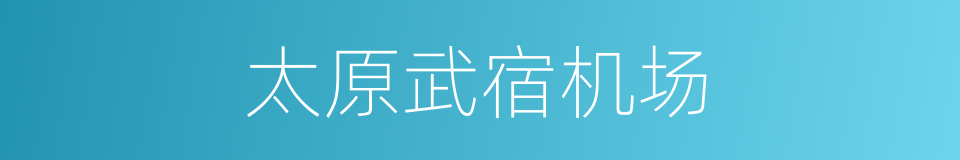 太原武宿机场的同义词