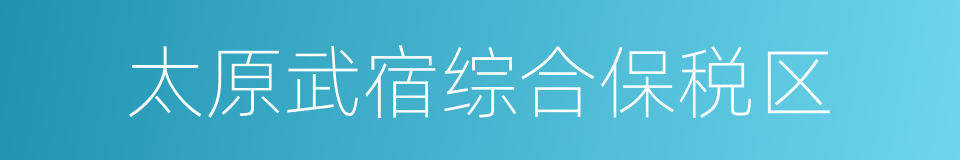 太原武宿综合保税区的同义词