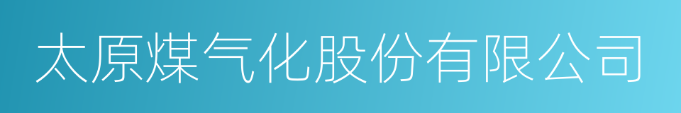 太原煤气化股份有限公司的同义词