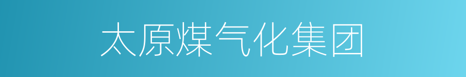 太原煤气化集团的同义词