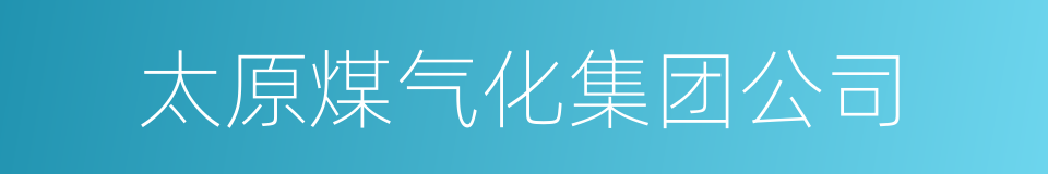 太原煤气化集团公司的同义词