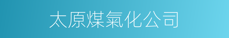 太原煤氣化公司的同義詞