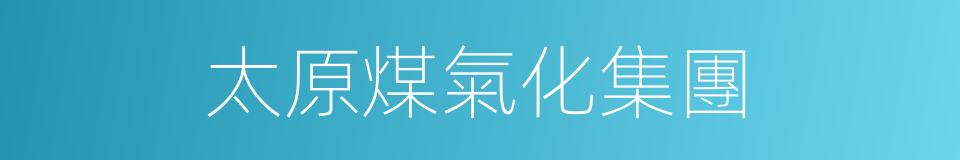 太原煤氣化集團的同義詞