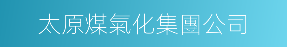 太原煤氣化集團公司的同義詞