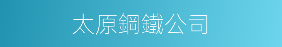 太原鋼鐵公司的同義詞