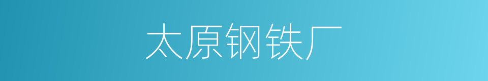 太原钢铁厂的同义词