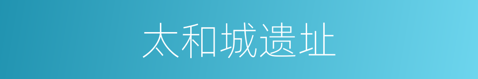 太和城遗址的同义词