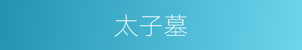 太子墓的同义词