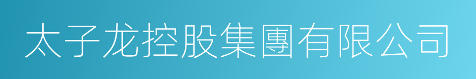 太子龙控股集團有限公司的同義詞