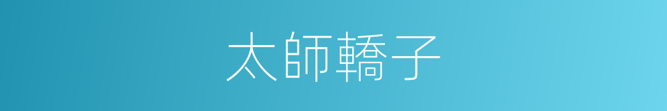 太師轎子的同義詞