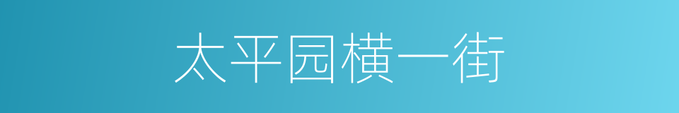 太平园横一街的同义词