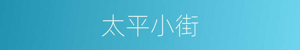 太平小街的同义词