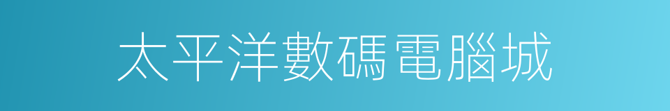 太平洋數碼電腦城的同義詞