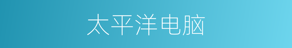 太平洋电脑的同义词