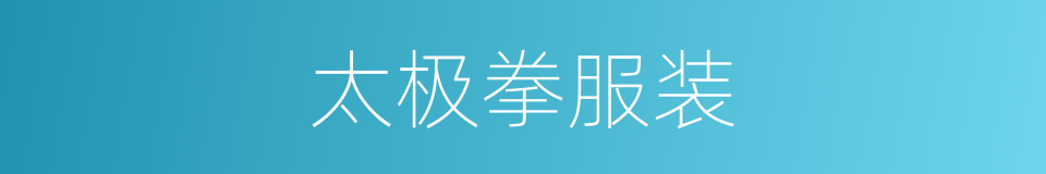 太极拳服装的同义词