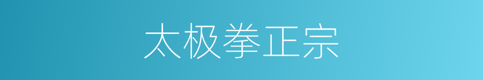 太极拳正宗的同义词
