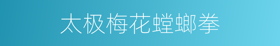 太极梅花螳螂拳的同义词