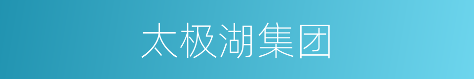 太极湖集团的同义词