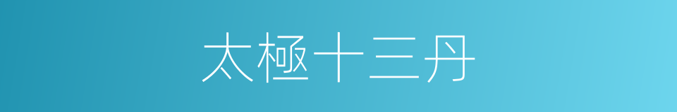 太極十三丹的同義詞