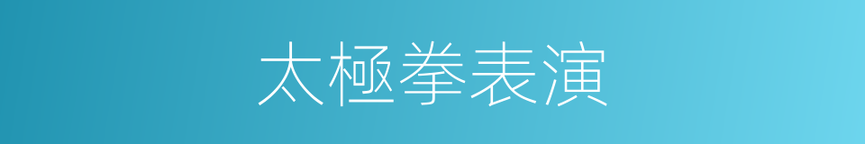 太極拳表演的同義詞