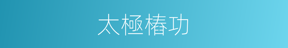 太極樁功的同義詞