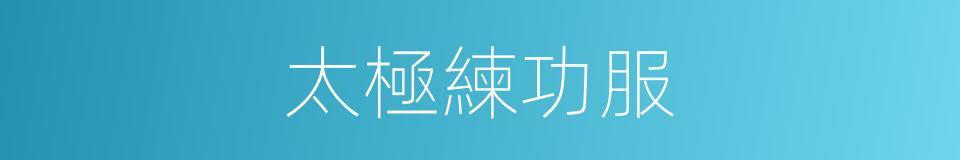 太極練功服的同義詞