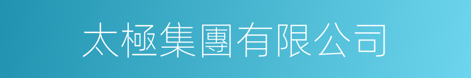 太極集團有限公司的同義詞