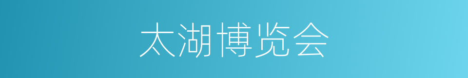 太湖博览会的同义词