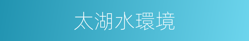 太湖水環境的同義詞