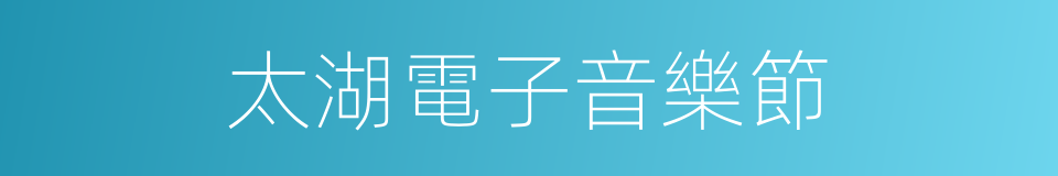 太湖電子音樂節的同義詞