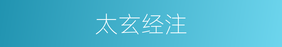 太玄经注的同义词