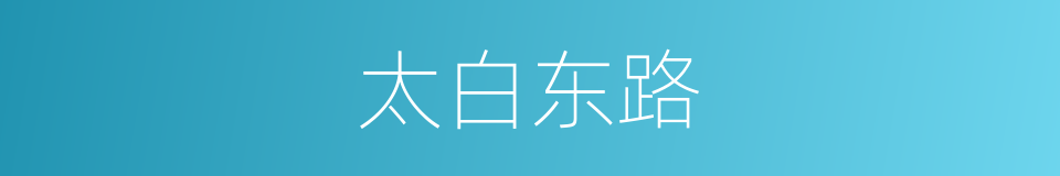 太白东路的同义词