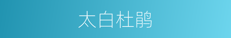 太白杜鹃的同义词