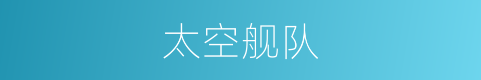 太空舰队的同义词