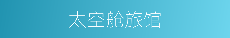 太空舱旅馆的同义词
