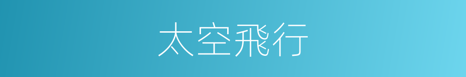 太空飛行的同義詞
