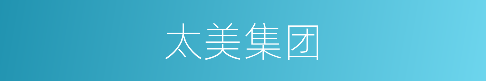 太美集团的同义词