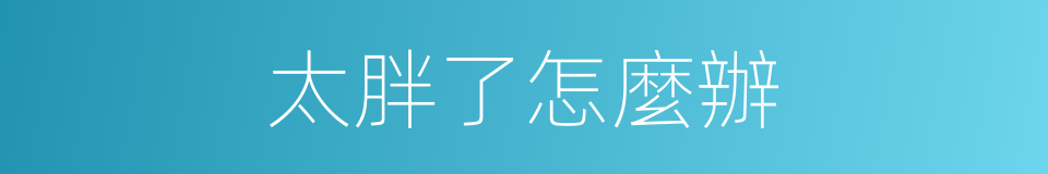 太胖了怎麼辦的同義詞
