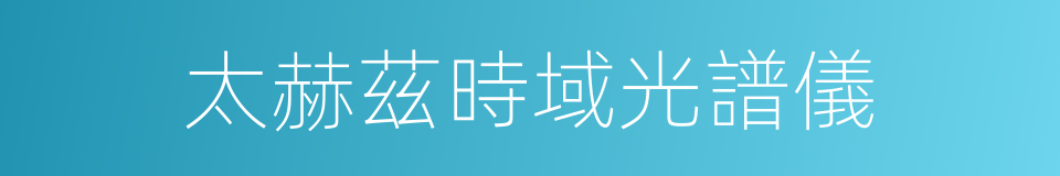 太赫茲時域光譜儀的同義詞