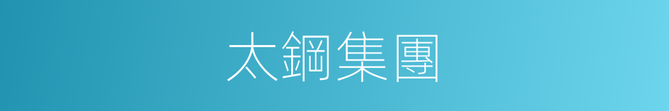 太鋼集團的同義詞