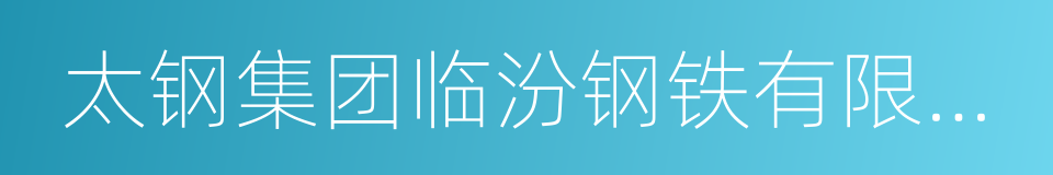 太钢集团临汾钢铁有限公司的同义词